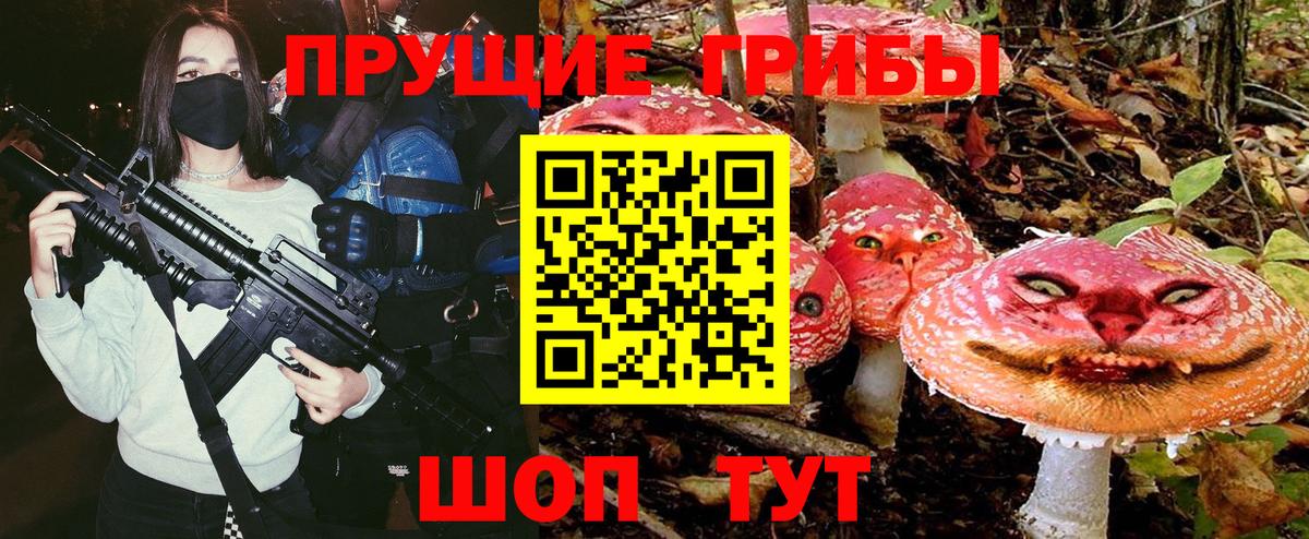 Новоалександровск  наркотики  Вход с VPN  Псилоцибиновые грибы ЛСД 