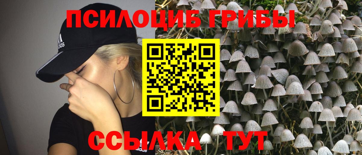 Галлюциногенные грибы Cubensis Новоалександровск