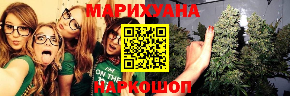 Конопля OG Kush Новоалександровск